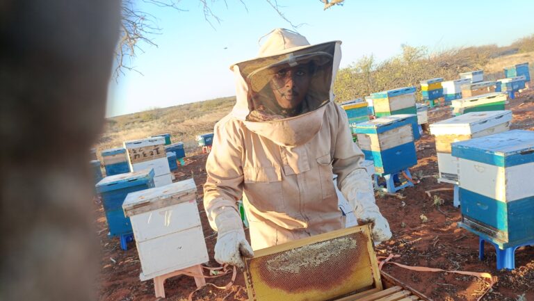 Somali Honey Tasting & Awareness Event – March 15, 2024