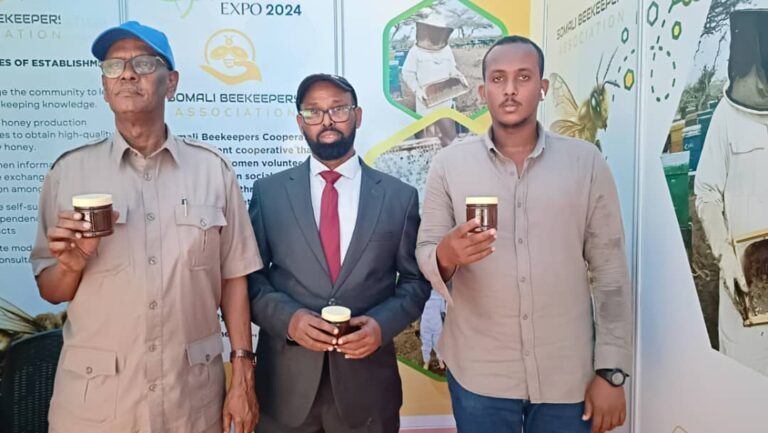 Beekeeping Training Held – January 31, 2025