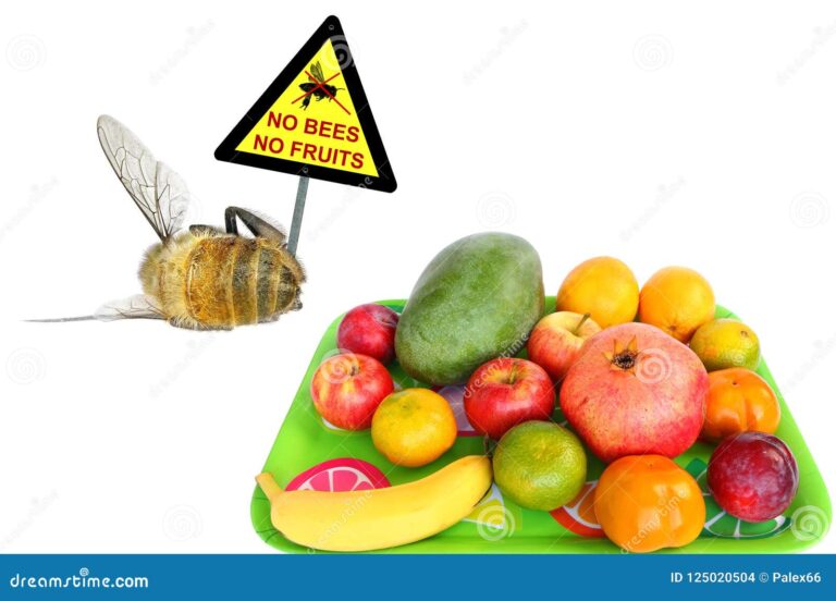 maxaynu ugabaahannahay shinida?