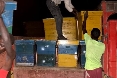 0452e67b-e1e2-4e9d-8616-b21a040fb5ca