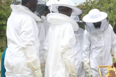 6745f2ad-b764-4ce5-94f0-e5c1807177a2