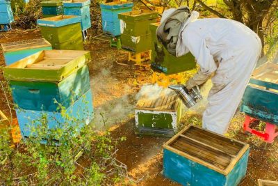 767fb71e-f006-49ed-9b54-d152a407515a