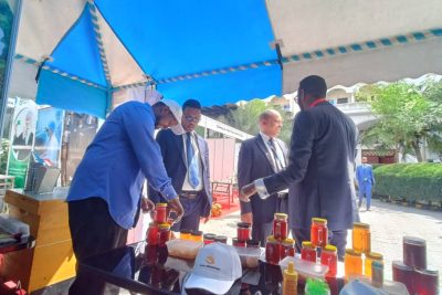 WhatsApp Image 2025-12-21 at 7.37.01 PM