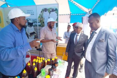 WhatsApp Image 2025-12-21 at 7.37.02 PM (1)