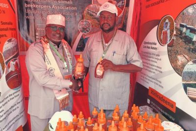 WhatsApp Image 2025-12-21 at 7.37.04 PM