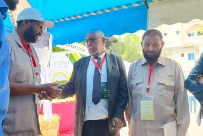 e4254ca8-867b-4a91-aa75-26a4abaac2e3